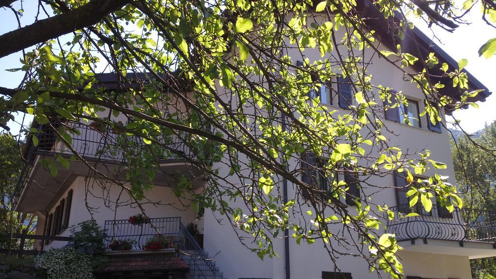 كيافينا B&B I Pioppi المظهر الخارجي الصورة